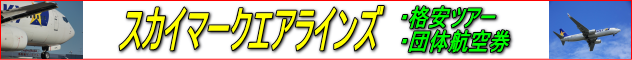 スカイマークエアラインズ