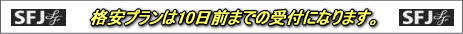 �X�^�[�t���C���[�̊i���v������10���O�܂łƂȂ�܂�